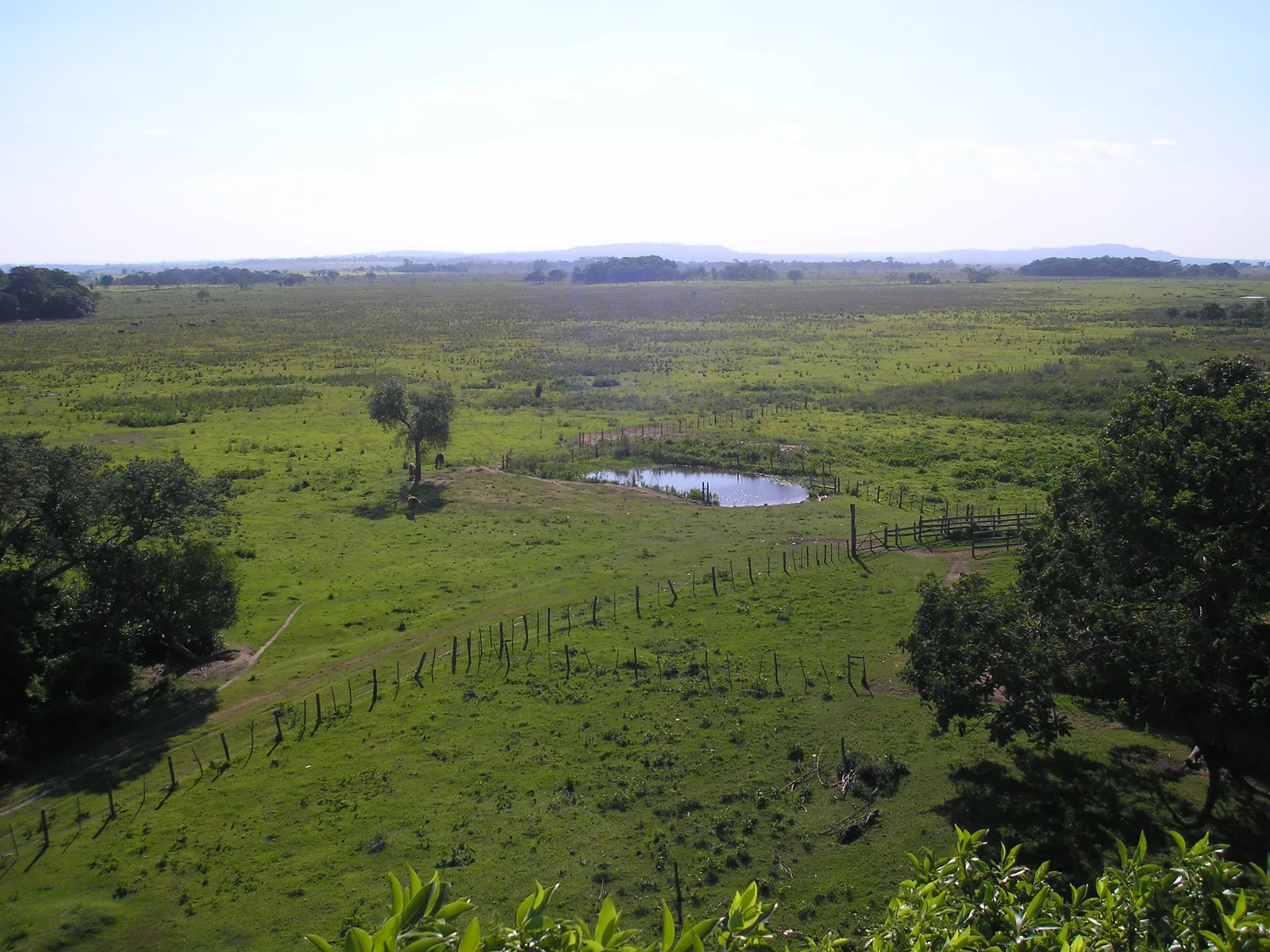 Llanura ganadera vista desde lo alto, con potreros alambrados y una aguada, hasta el horizonte.